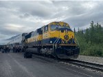 The Denali Explorer train at Denali Park Station